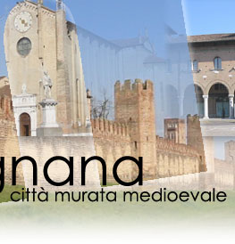 Entra nel Sito